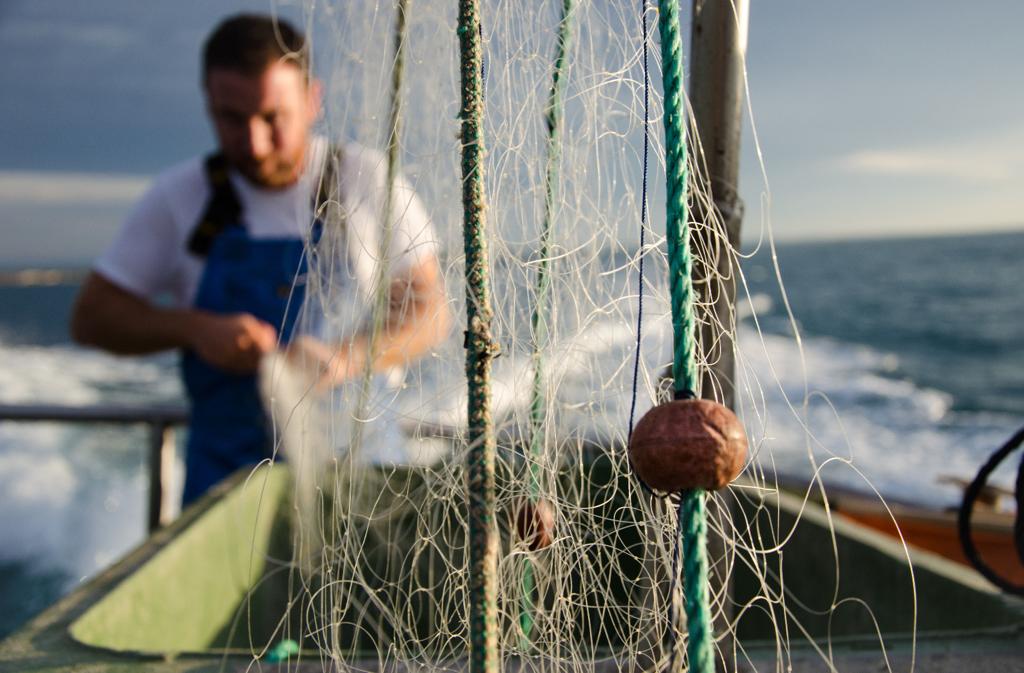 WhatsApp Image 2023-11-02 at 11.44.20 (1)