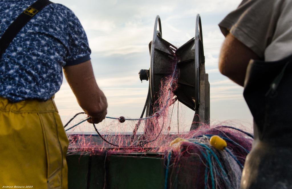 WhatsApp Image 2023-11-02 at 11.44.20 (11)