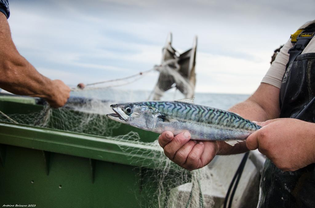 WhatsApp Image 2023-11-02 at 11.44.20 (18)