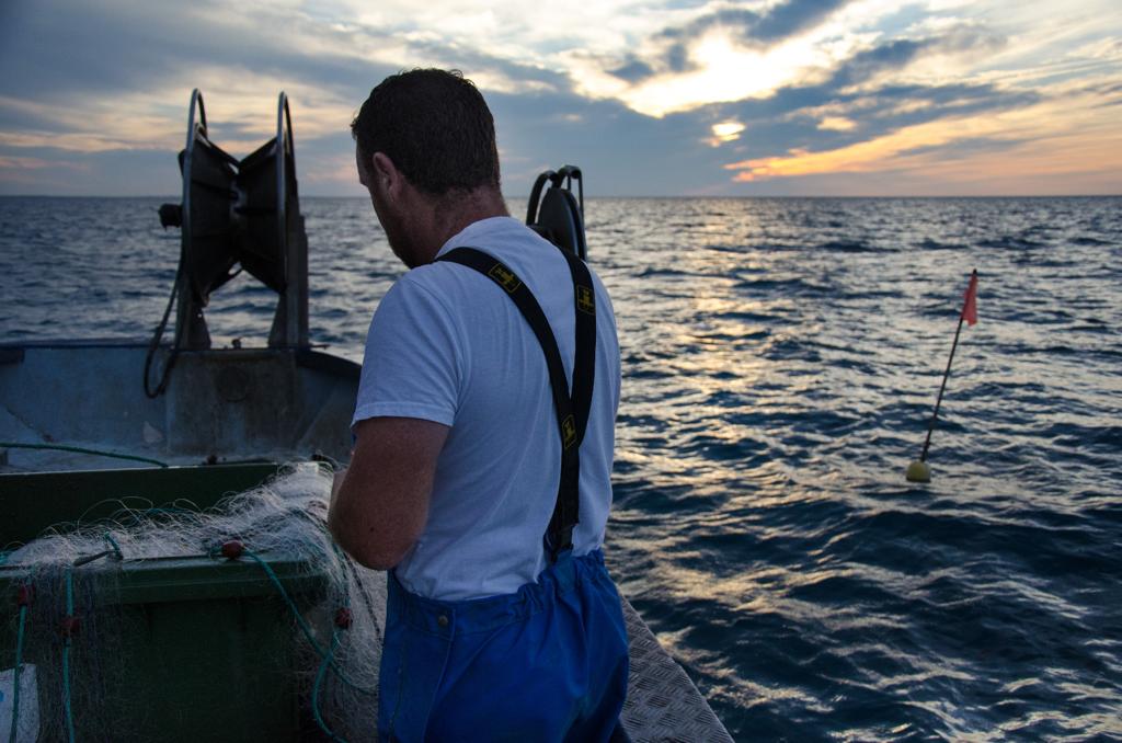 WhatsApp Image 2023-11-02 at 11.44.20 (3)