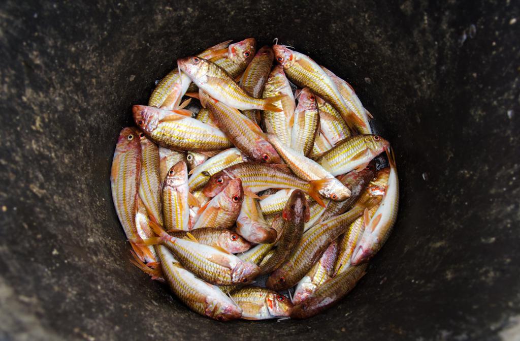 WhatsApp Image 2023-11-02 at 11.44.20 (4)