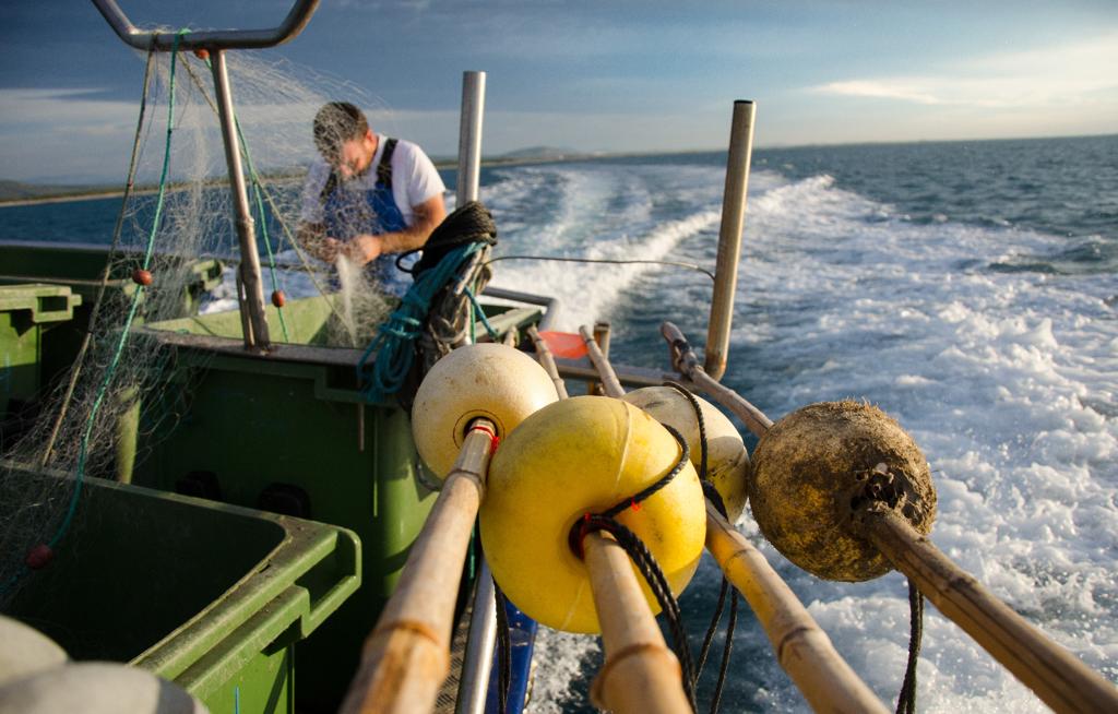 WhatsApp Image 2023-11-02 at 11.44.20 (5)