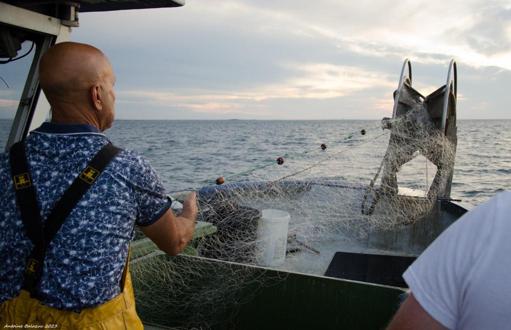 WhatsApp Image 2023-11-02 at 11.44.20 (7)