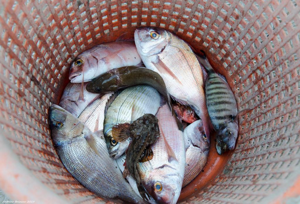 WhatsApp Image 2023-11-02 at 11.44.20 (8)