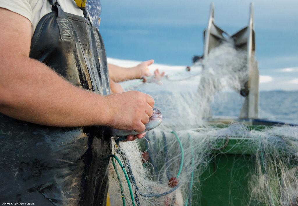 WhatsApp Image 2023-11-02 at 11.44.20 (9)