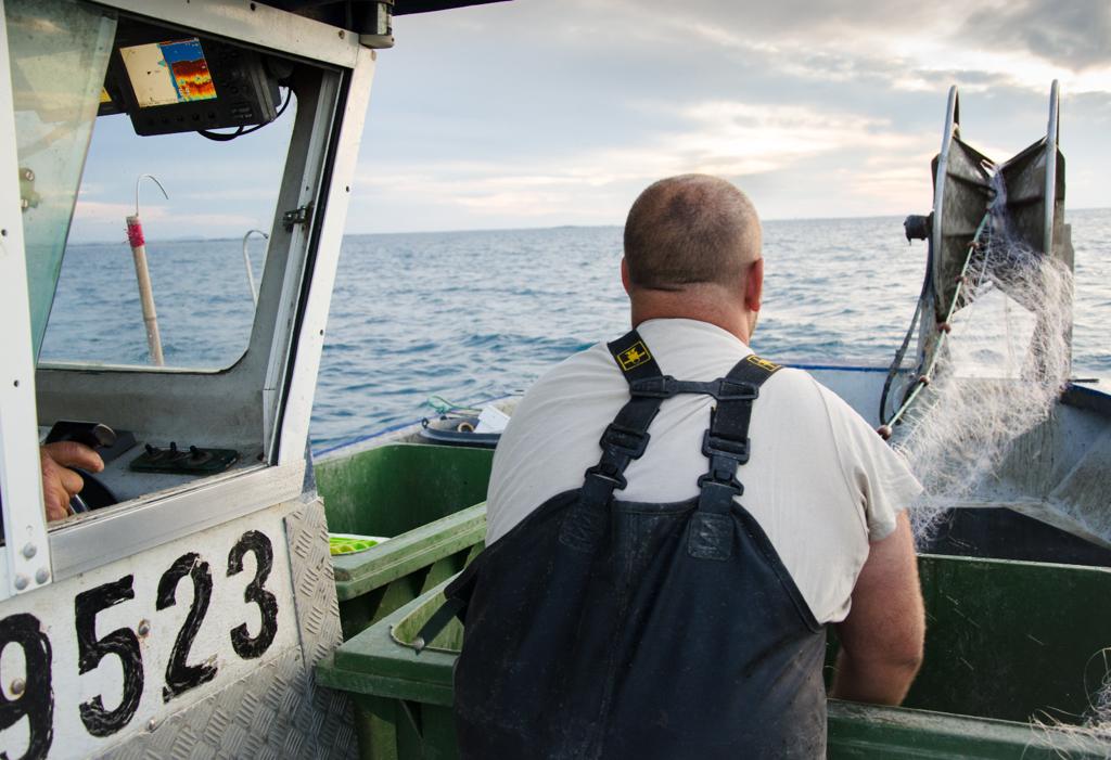 WhatsApp Image 2023-11-02 at 11.44.20