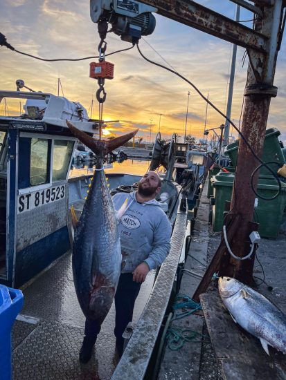 WhatsApp Image 2023-11-02 at 15.26.15