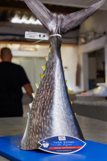 pêche artisanale sète