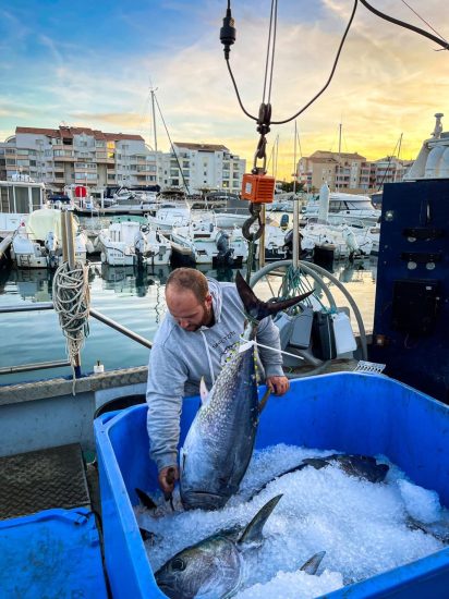 poisson sète
